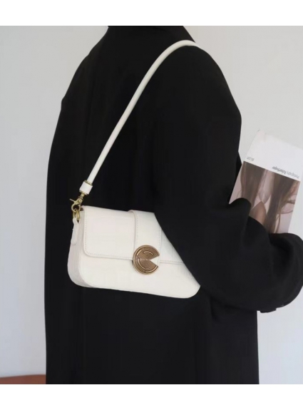 Túi thiết kế năm nay nữ 2022 mới hợp thời trang cao cấp túi đeo vai có form túi thời trang NT155 -màu đen